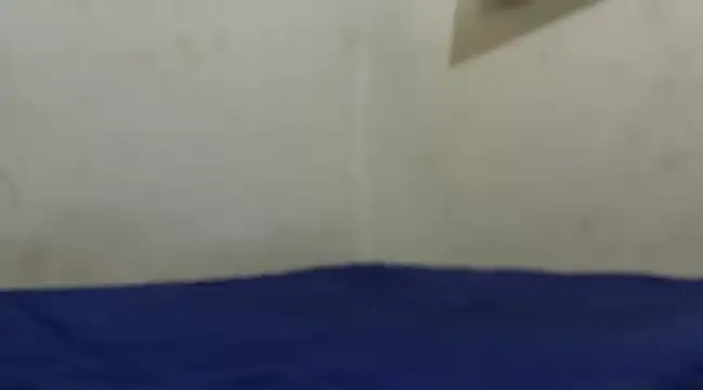 steve 011 online show from March 2025 08:51:01 AM