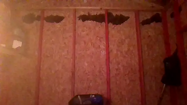 prettyboytatted69 online show from April 2026 07:03:02 AM