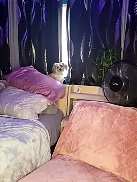 SexyNikki6969 online show from March 2026 09:59:01 PM