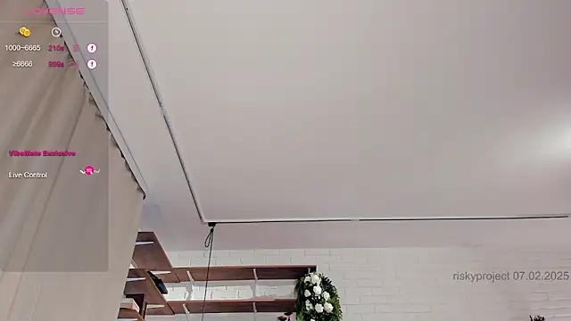 Snapshot of Riskyproject chatting on February 2025 07:40:01 AM Riskyproject online show from February 2025 07:40:01 AM