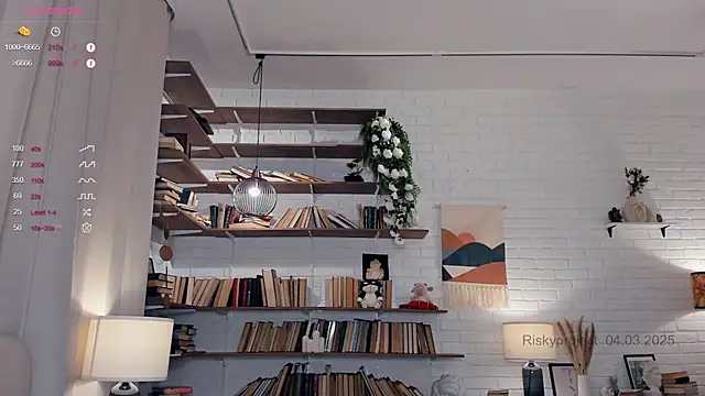 Snapshot of Riskyproject chatting on March 2025 01:17:01 PM Riskyproject online show from March 2025 01:17:01 PM