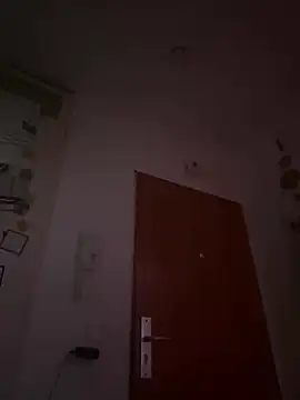 Snapshot of Toyjungee chatting on December 2024 01:03:01 PM Toyjungee online show from December 2024 01:03:01 PM