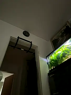 Snapshot of Toyjungee chatting on September 2025 06:59:02 AM Toyjungee online show from September 2025 06:59:02 AM