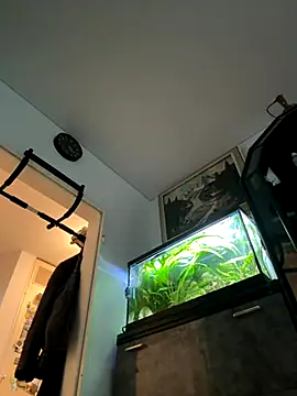 Snapshot of Toyjungee chatting on September 2025 03:37:01 PM Toyjungee online show from September 2025 03:37:01 PM