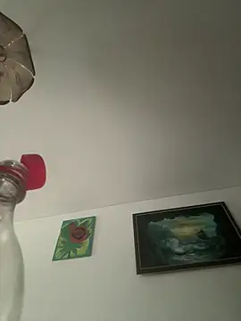 Snapshot of Toyjungee chatting on September 2025 12:21:01 PM Toyjungee online show from September 2025 12:21:01 PM