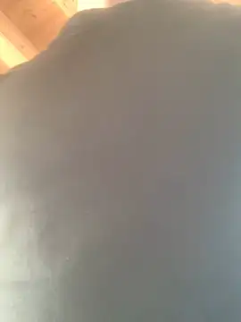 Fellix online show from February 2025 11:34:02 AM