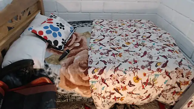 sexyjustin202 online show from December 2025 09:55:01 PM