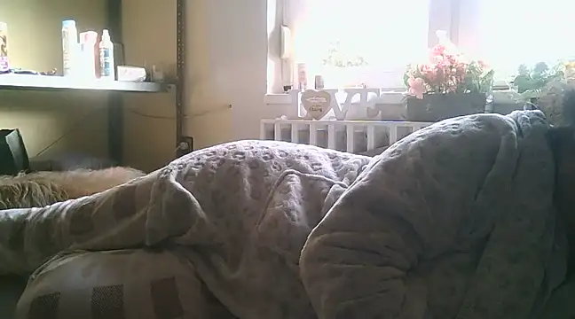 Snapshot of Mileva88 chatting on January 2025 01:49:01 PM Mileva88 online show from January 2025 01:49:01 PM