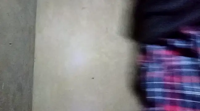 clintsix online show from March 2025 10:31:02 PM