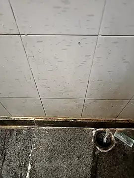 Mallupaiyanaachu online show from January 2025 01:54:01 PM