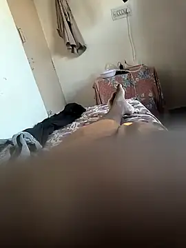 Mallupaiyanaachu online show from February 2025 02:08:02 AM