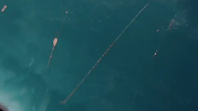 Snapshot of CharlotteBigCock chatting on January 2025 03:25:01 PM CharlotteBigCock online show from January 2025 03:25:01 PM