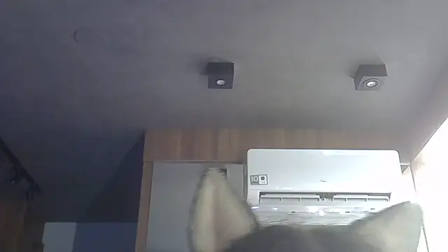 Snapshot of Skinny-Kitten chatting on December 2025 05:18:02 PM Skinny-Kitten online show from December 2025 05:18:02 PM