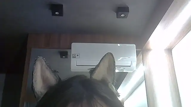 Skinny-Kitten online show from February 2026 09:41:01 PM