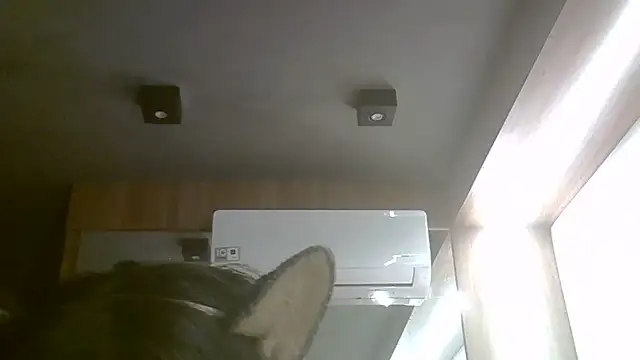 Snapshot of Skinny-Kitten chatting on June 2026 03:46:01 PM Skinny-Kitten online show from June 2026 03:46:01 PM