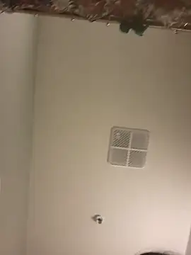 lofibunni online show from April 2026 05:17:01 PM