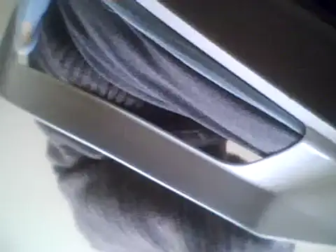 bestofyalcinturkey online show from March 2025 08:38:02 AM