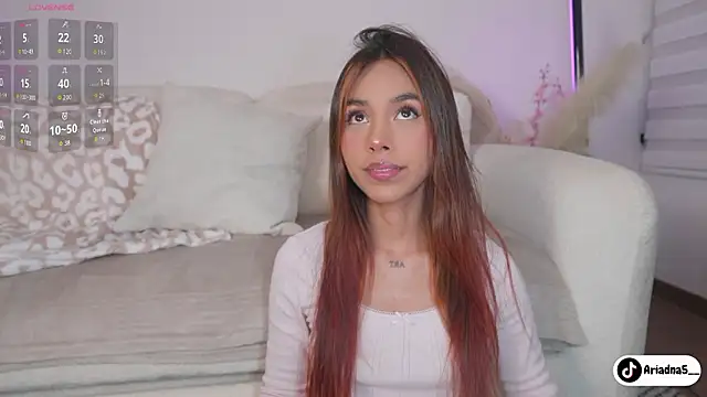 Snapshot of Ariadna5 chatting on February 2026 04:02:01 AM Ariadna5 online show from February 2026 04:02:01 AM