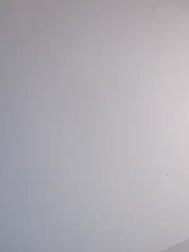 Delicy1 online show from February 2025 12:44:02 PM