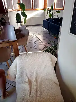 Isabellaa04 online show from October 2025 02:15:01 PM