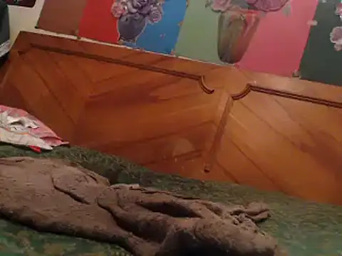 Snapshot of EllyseJenner chatting on December 2024 06:31:02 PM EllyseJenner online show from December 2024 06:31:02 PM