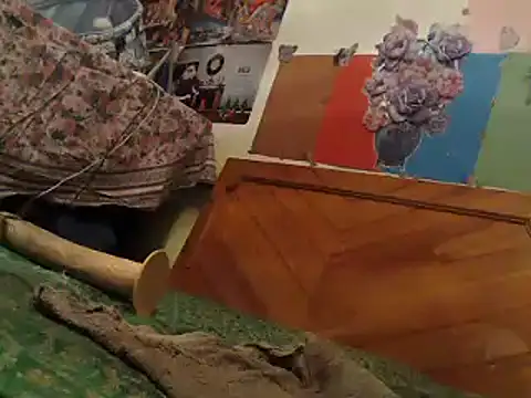 Snapshot of EllyseJenner chatting on January 2025 06:20:02 PM EllyseJenner online show from January 2025 06:20:02 PM