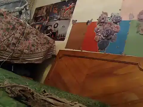 Snapshot of EllyseJenner chatting on January 2025 06:49:01 PM EllyseJenner online show from January 2025 06:49:01 PM