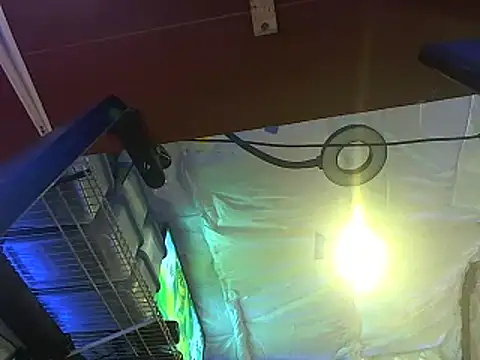 Snapshot of CloudDadddyyy420 chatting on October 2025 10:43:02 PM CloudDadddyyy420 online show from October 2025 10:43:02 PM