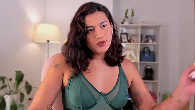 Snapshot of ari_artis chatting on February 2025 01:40:01 AM ari artis online show from February 2025 01:40:01 AM