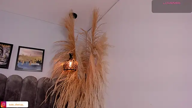 cute  cherry  online show from April 2026 08:26:01 PM