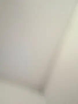 CelesteBailey online show from September 2025 08:29:02 AM