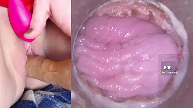 danigirl866 online show from January 2025 06:10:02 PM