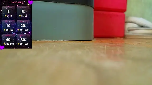 Miss Flexi fit online show from February 2025 10:09:02 AM