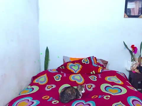 The wickles 4443 online show from February 2025 04:09:02 PM