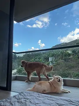 Helenbronwx online show from January 2025 09:28:01 PM