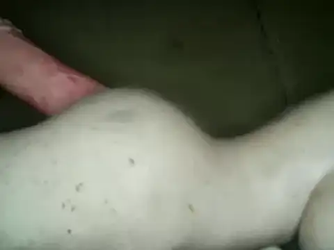 Snapshot of xxxlecram chatting on March 2025 07:19:01 AM xxxlecram online show from March 2025 07:19:01 AM