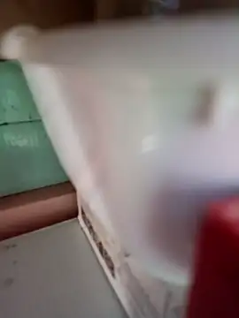 Rayito6969xh online show from February 2026 03:38:01 PM