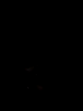 Mailsonp online show from February 2026 05:55:01 AM