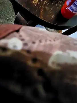 Snapshot of pajarol5co chatting on January 2025 12:16:01 AM pajarol5co online show from January 2025 12:16:01 AM