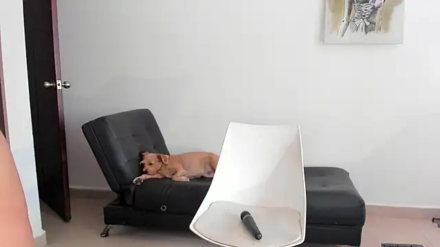 selene king2 online show from December 2024 06:17:01 PM