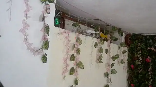 Snapshot of emmafox_ls chatting on November 2025 11:29:01 PM emmafox ls online show from November 2025 11:29:01 PM