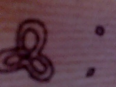 Snapshot of soniasharma0223 chatting on February 2025 05:47:01 AM soniasharma0223 online show from February 2025 05:47:01 AM