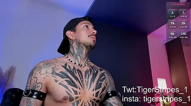 TigerStripes1  online show from March 2025 12:56:02 AM