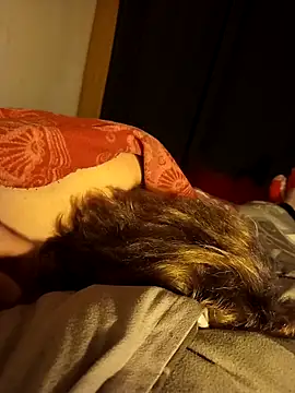 Snapshot of PIercingBoy38 chatting on November 2025 09:16:01 PM PIercingBoy38 online show from November 2025 09:16:01 PM