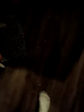 Donglong80 online show from November 2025 11:16:02 AM