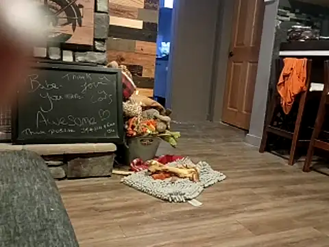 Donglong80 online show from November 2025 12:05:01 PM